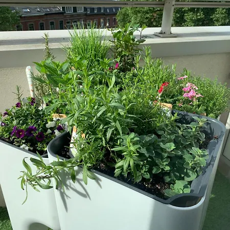 Homestay Le Murmure De L'eau - D'hote Urbaine - *